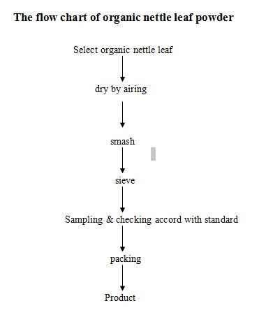 flow chart of Organic nettle powder