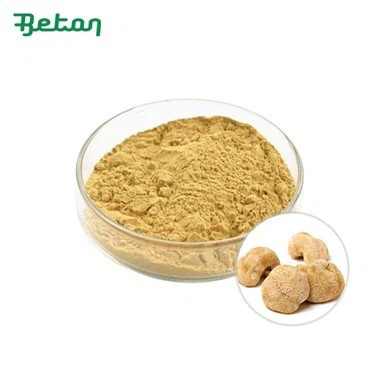 Chiết xuất hữu cơ Hericium Erinaceus