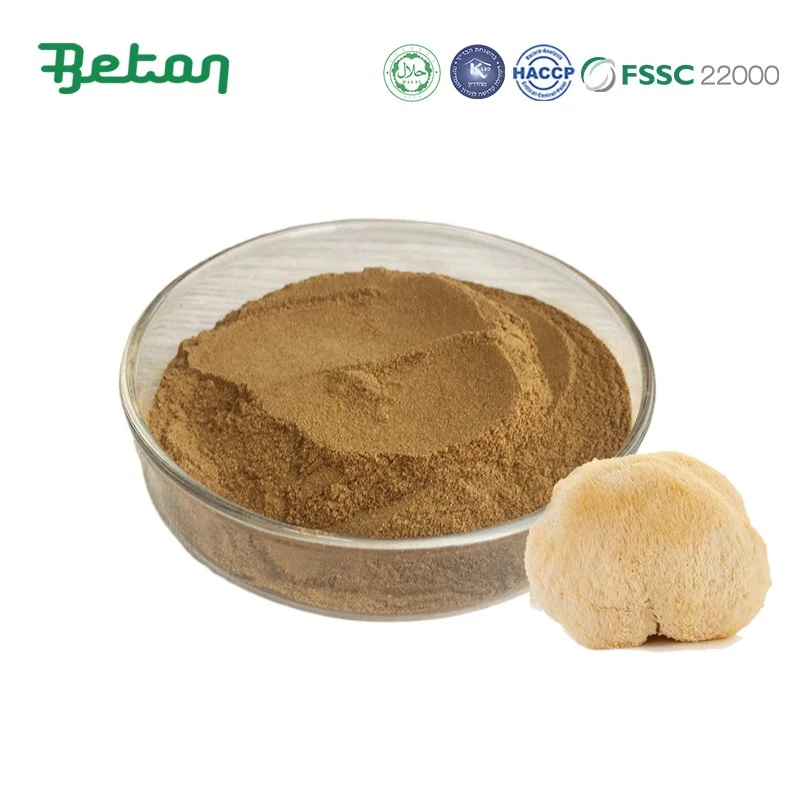 Bột chiết xuất bờm sư tử